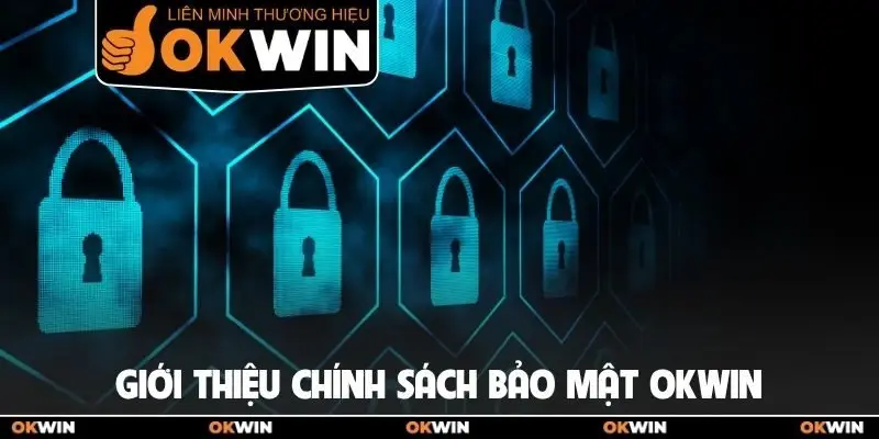 Chính sách bảo mật 1 Giới thiệu chính sách bảo mật OKWIN