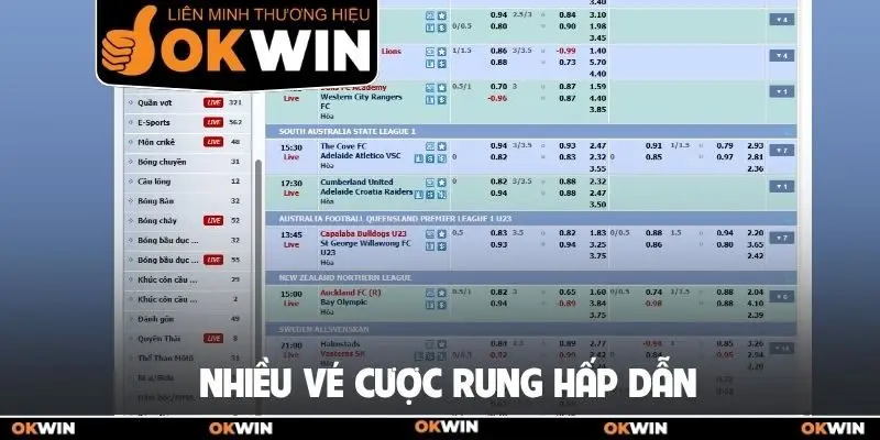 Kèo Rung Bóng Đá Là Gì? Hướng Dẫn Đọc Cược Rung Chuẩn 2 Nhiều vé cược rung hấp dẫn